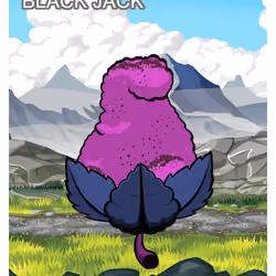 Black Jack