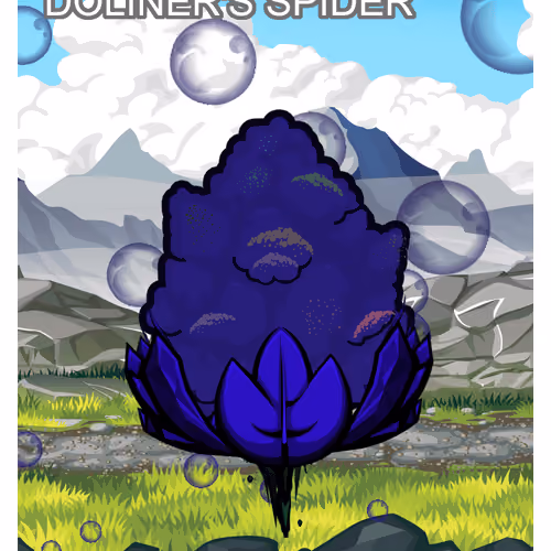 Doliner's Spider