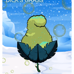 Dick's Grass