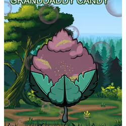 Granddaddy Candy