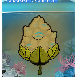 Charred Cheese