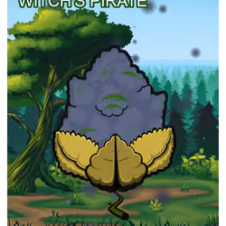Witch's Pirate