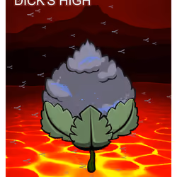 Dick's high