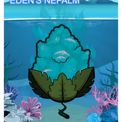 Eden's Nepalm