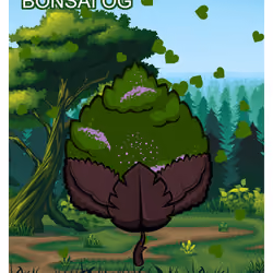 Bonsai OG