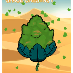 Space Chestnut