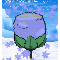 OG Frostbite