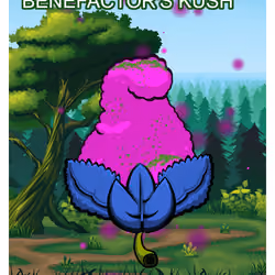 Benefactor's Kush