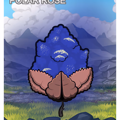 Polar Rose