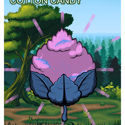Cotton Candy