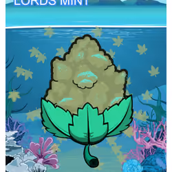 Lords Mint