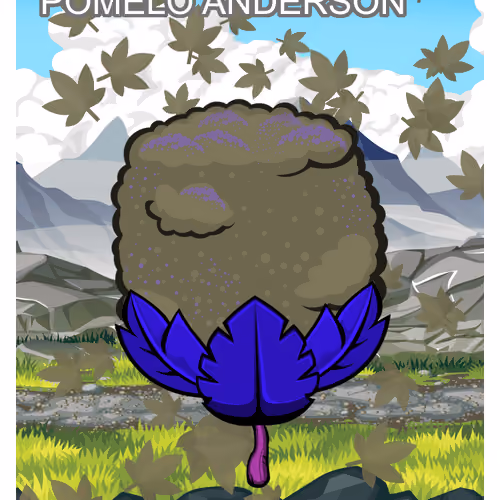 Pomelo Anderson