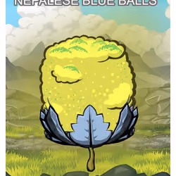 Nepalese Blue Balls