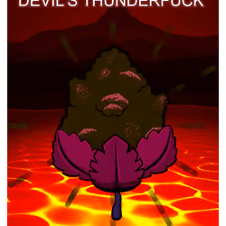 Devil's Thunderfuck