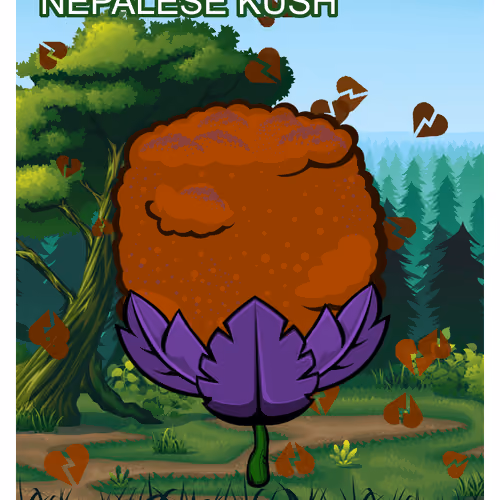 Nepalese Kush