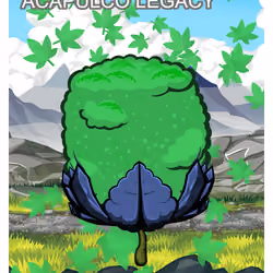 Acapulco Legacy