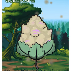 Super Ape