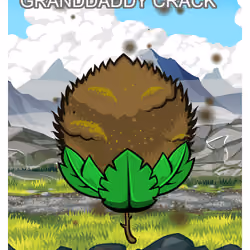 Granddaddy Crack