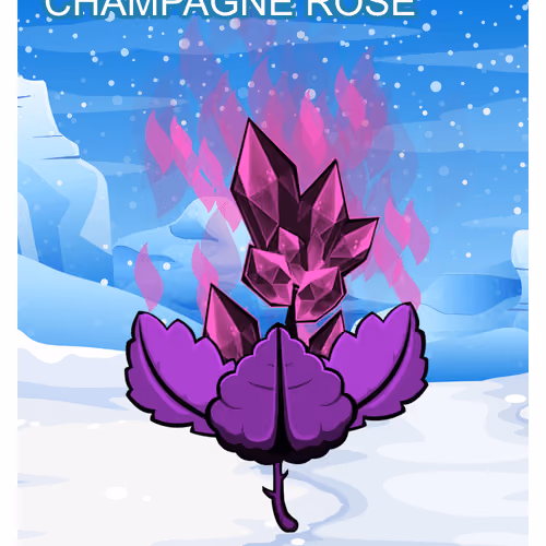 Champagne Rose