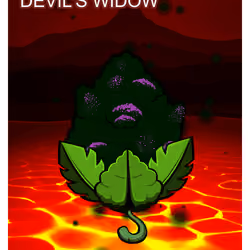 Devil's Widow