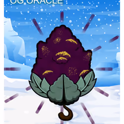 OG oracle