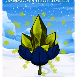 Jamaican Blue Balls