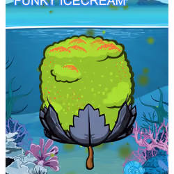 Funky Icecream