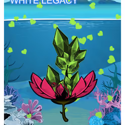 White Legacy
