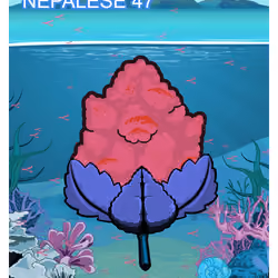 Nepalese 47