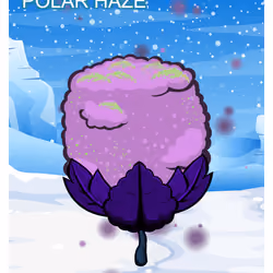 Polar Haze