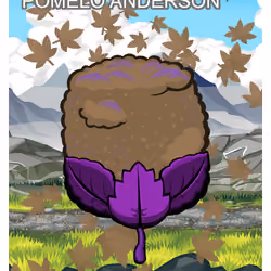 Pomelo Anderson