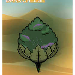 Dark Cheese
