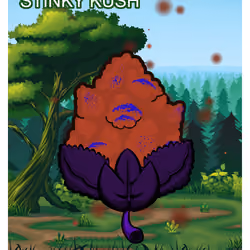 Stinky Kush