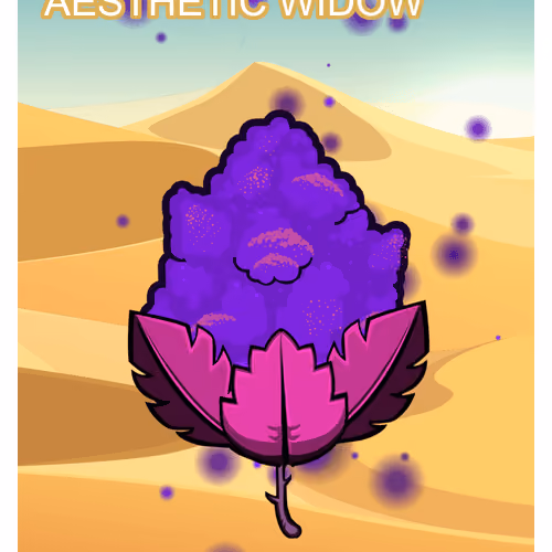 Aesthetic Widow