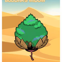 Buddha's Widow