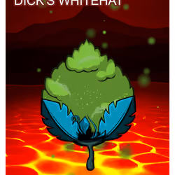 Dick's Whitehat