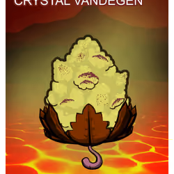 Crystal vanDegen