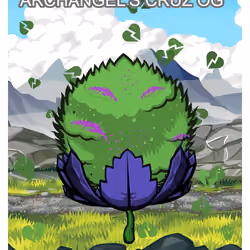 Archangel's Cruz OG