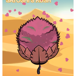 Satoshi's Kush