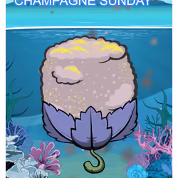 Champagne Sunday