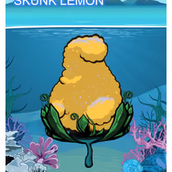Skunk Lemon