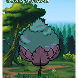 Sour Schwag