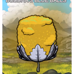 Buddha's Blue Balls