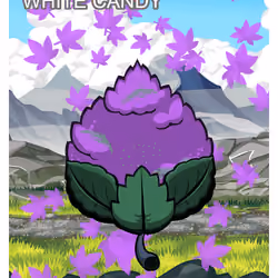 White Candy