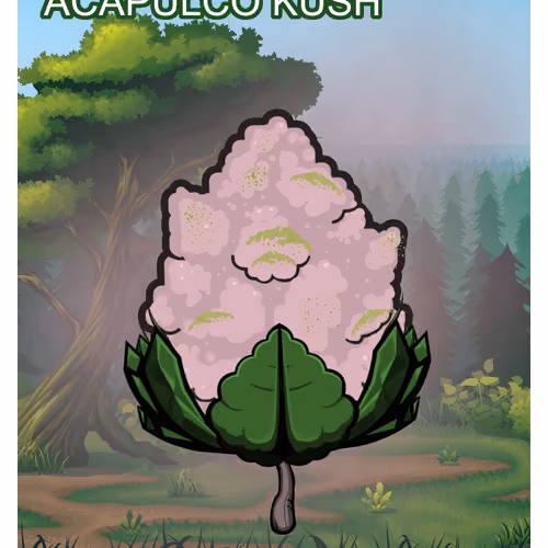 Acapulco Kush