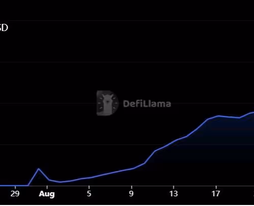 kingjunaid12.lens-Collect-3072
