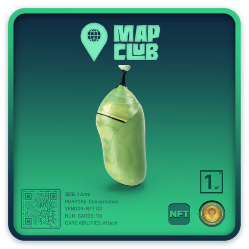 Item #563848689283934748886127 Media