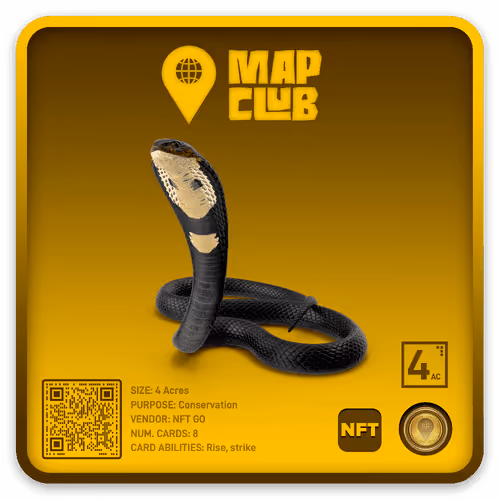 Item #246841157703011207181638 Media