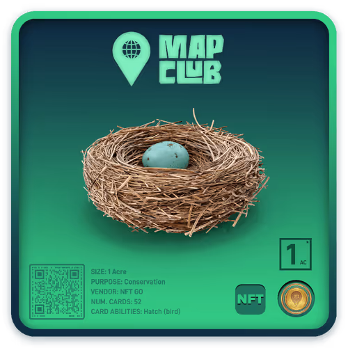 Item #251269254750853353134186 Media