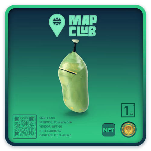 Item #336346713610323785707844 Media